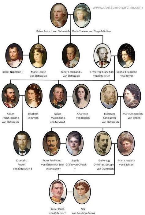 Family Relationship Chart, British Royal Family Tree, Empress Sissi, Empress Elisabeth, Royal Family Portrait, Irish Genealogy, Relationship Chart, Royal Family Trees, Ancestry Family Tree