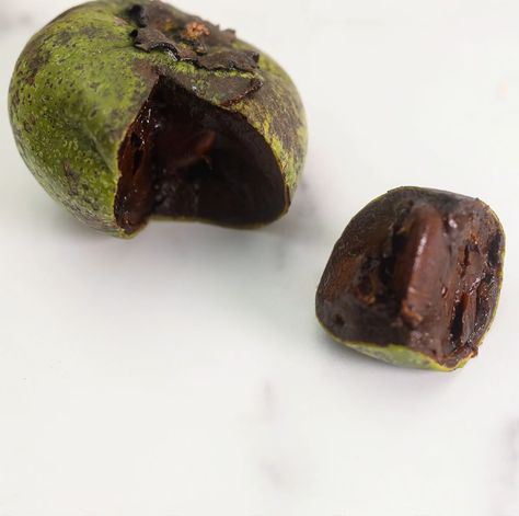 Black Sapote, Garden Fruit, Pudding Flavors, Unique Fruit, Prevent Hair Fall, Tree Growing, Unique Vegetables, Greenhouse Growing, Asian Grocery