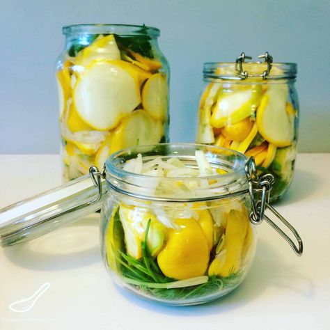 Pickled Yellow Squash, Pickled Squash, Sunburst Squash, Pattypan Squash, Homemade Sour Cream, Caramel Apples Recipe, Lemon Pickle, Quick Pickled, Farmers Cheese