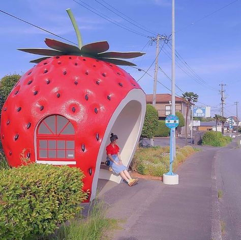 10.2 k gilla-markeringar, 59 kommentarer - Japan Candy Box (@japancandybox) på Instagram: "🍓 This strawberry bus shed is just one of the many fruit-themed bus shelters in Isahaya region,…" Japan Strawberry, Bus Stop Design, Nagasaki Japan, Bus Shelters, Japan Candy, Bus Stops, Go To Japan, Aesthetic Japan, Found Art