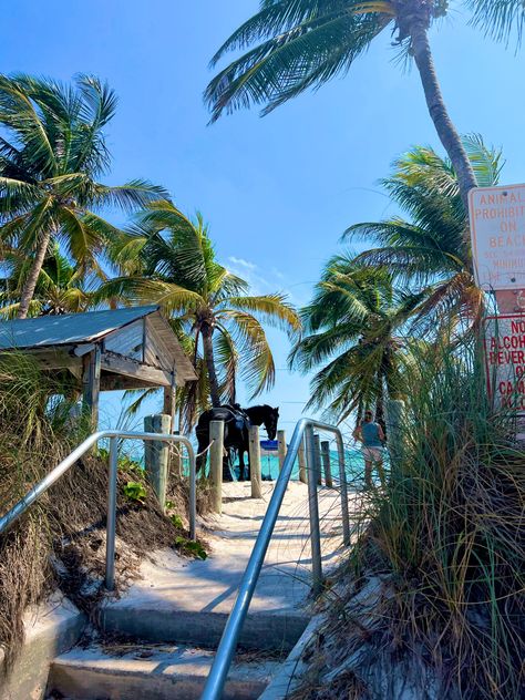 The Keys, Key West, Florida. #keywest #thekeys #beach #horse #sand #palmtree #vacation The Keys Aesthetic, Key West Florida Aesthetic, Key West Shopping, Florida Keys House, The Keys Florida, Keywest Florida, Acnh Beach, Key West Hotels, Keys House