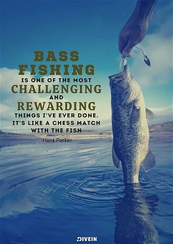 70 Great Fishing Quotes [With Images] - DIVEIN Fish Quotes Funny, Funny Fishing Quotes, Bass Fishing Quotes, Competition Quotes, Man Fishing, Fish Bites, Quotes With Images, Quotes For Women, Fishing Quotes