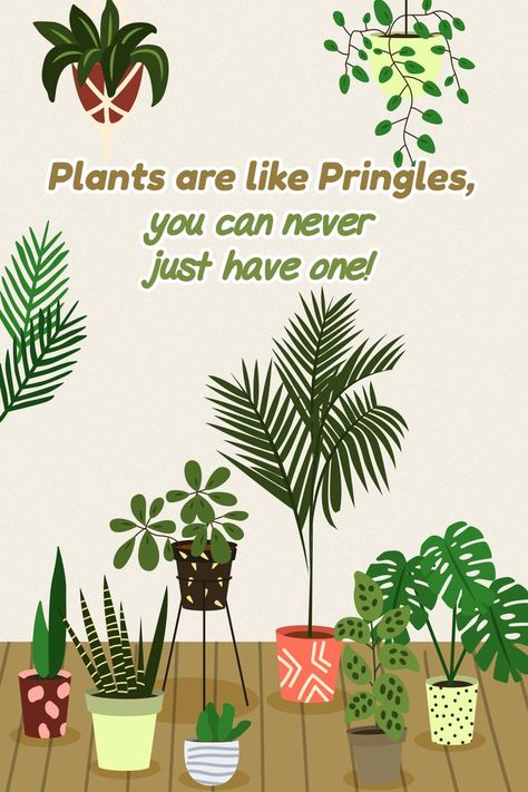 Plants 101, Plant Business, Indoor Gardening Ideas, Plant Jungle, Natural Wallpaper, Plants Quotes, Balcony Gardening, Plant Room, Lovers Quotes