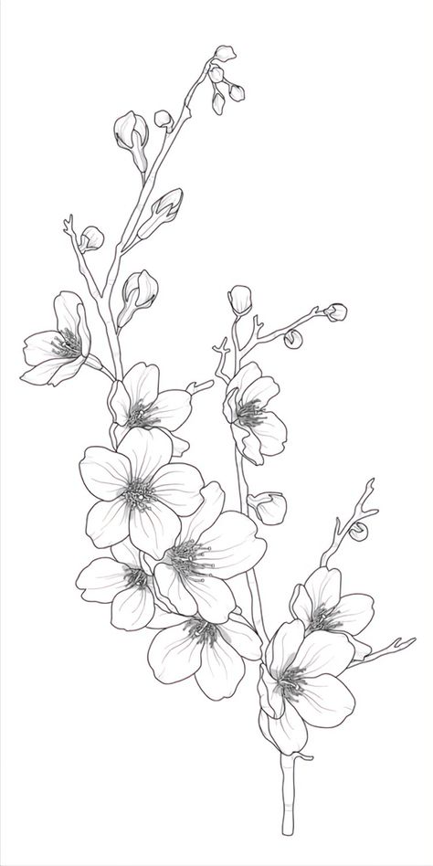 Sakura Sketch Flower, Draw Sakura Flower, Blossom Flower Tattoo, Flower Tattoo Stencils, Cherry Blossom Drawing, Flowers Step By Step, How To Draw Flowers, Orchid Tattoo, Flower Line Drawings