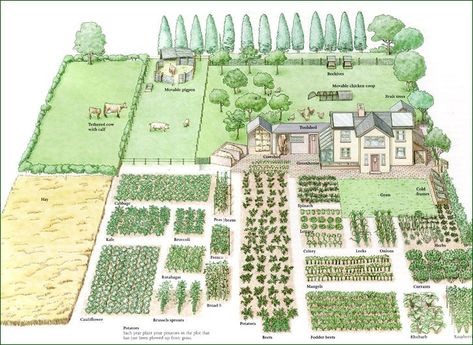 Garden Planing, Homestead Layout, Acre Homestead, Farm Plans, Farm Layout, Homestead Gardens, Garden Design Layout, Landscape Design Plans, Mini Farm