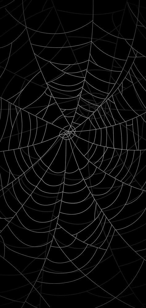 Black Spooky Background, Phone Border Wallpaper, Spooky Backgrounds Wallpapers, Black Spider Web Wallpaper, Spoder Web, 2000s Patterns, Spider Web Aesthetic, Spider Web Wallpaper, Spiderweb Wallpaper