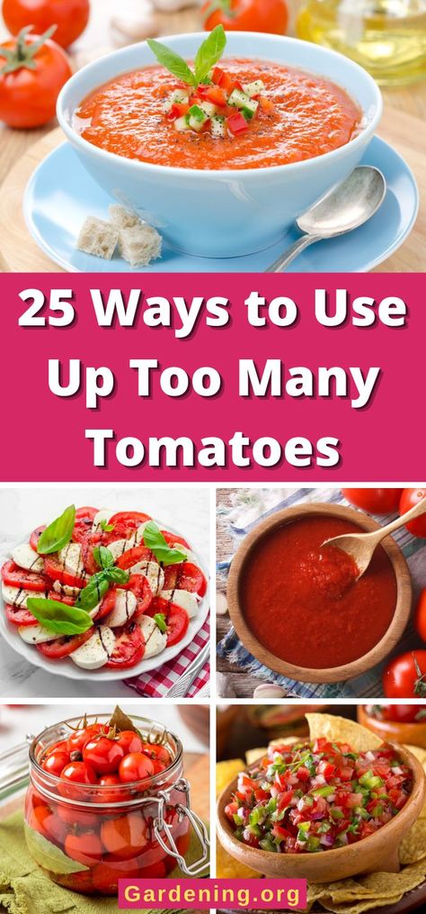 25 Ways to Use Up Too Many Tomatoes Ideas For Tomatoes, What To Do With Mushy Tomatoes, Uses For Grape Tomatoes, What To Cook With Tomatoes, Ways To Use Fresh Tomatoes, Leftover Tomatoes What To Do With, Use Tomatoes Up, Recipe That Uses Lots Of Tomatoes, What To Do With Extra Tomatoes From Garden