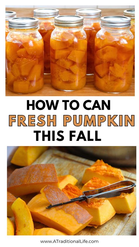 Pressure Canning Pumpkin - This pressure canning for beginners recipe is so easy to do with your fall pumpkin harvest! Learn how to can pumpkin chunks safely in a pressure canner! Start canning pumpkin in your kitchen, so you can have your own pumpkin puree on hand throughout the year to use in your favorite recipes. #pumpkin Preserving Pumpkins For Food, Diy Canned Pumpkin, How To Can Fresh Pumpkin Puree, Pressure Canning Pumpkin, Pumpkin Puree Canning, Water Bath Canning Pumpkin Puree, Pumpkin Puree Canning Recipes, Canning Fresh Pumpkin Puree, Safe Canning Recipes