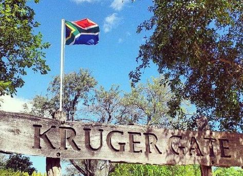 The US embassy in SA has issued a security alert advising US citizens to avoid accessing the Kruger National Park via the Numbi Gate. Travelling To South Africa, South Africa Kruger National Park, Republic Of South Africa, Kruger Park South Africa, South Africa Culture, Kruger National Park South Africa, Africa Do Sul, South Africa Travel, Out Of Africa