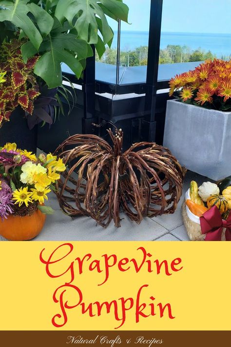 A grapevine pumpkin surrounded by fall decor Grapevine Pumpkin Diy, How To Make A Grapevine Tree, Crafts With Grape Vines, Grape Vine Projects, Grapevine Craft Ideas, Grapevine Crafts Projects, Grapevine Crafts Diy, Grapevine Garland Ideas, Grapevine Tree Decorating Ideas