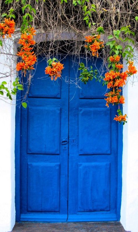 San Miguel de Tucumán, Argentina, Door | ドア | Porte | Porta | Puerta | дверь | Sertã. Nice photo of rich blue door and flowers. Door Architecture, Blue Doors, When One Door Closes, Gorgeous Doors, Cool Doors, Magic Garden, Blue Door, Old Doors, Unique Doors