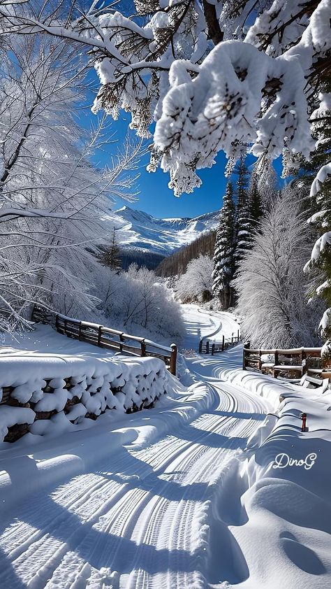 Winter Wonderland Wallpaper, Beautiful Winter Pictures, Beautiful Winter Scenes, Snow Pictures, Winter Photos, Winter Wallpaper, White Snow, Winter Scenery, Winter Beauty