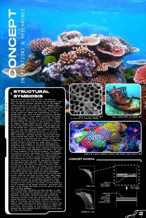 Architectural Ideas for Repurposing Oil rigs Coral Concept Architecture, Corals Architecture, Coral Reef Structure, Coral Reef Architecture, Coral Inspired Architecture, Parol Design, Mindmap Design, Coral Building, Purple Tesla