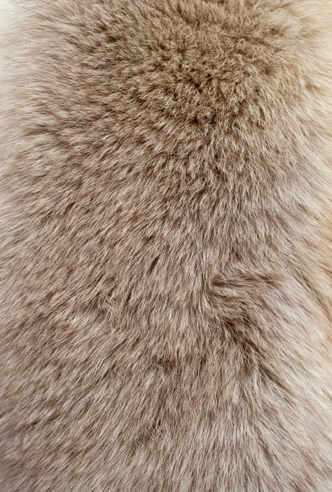 Fur texture Photo | Premium Download Texture Download, Fur Texture, Texture Inspiration, Texture Photography, Fabric Textures, Fur Fabrics, Materials And Textures, Beige Aesthetic, Color Textures