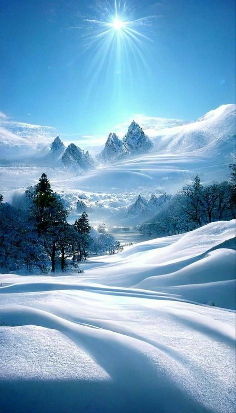 Winter Scenery Pictures, Winter Photography Nature, Beautiful Winter Pictures, Winter Landscape Photography, Winter Wallpapers, Beautiful Winter Scenes, Winter Nature, Winter Photos, Winter Wallpaper