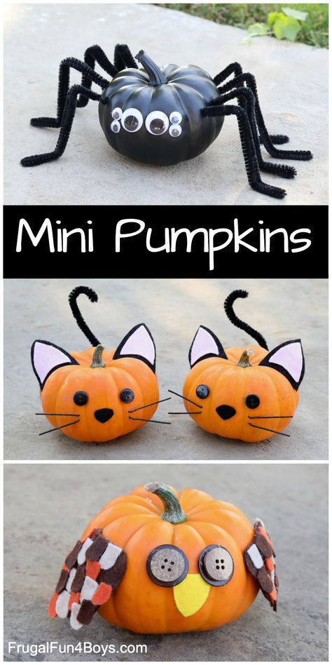 Tiny Pumpkin Painting Ideas, Easy Pumpkin Decorating, Pumpkin Decorating Ideas, Creative Pumpkin Decorating, Spider Pumpkin, Pumpkin Decorating Contest, No Carve Pumpkin Decorating, Pumpkin Contest, Carving Pumpkins