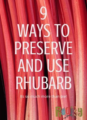 Living Seasonally, Stewed Rhubarb, Garden Zones, Rhubarb Rhubarb, Rhubarb Desserts, Canning Tips, Food Resources, Diy Pantry, Rhubarb Recipes