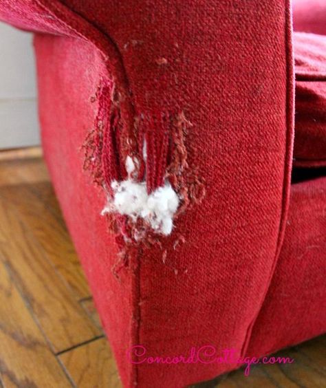 Katt Diy, Couch Repair, Fancy Chair, Pottery Barn Inspired, Upholstery Diy, Chair Makeover, Red Chair, Diy Sofa, Furniture Repair