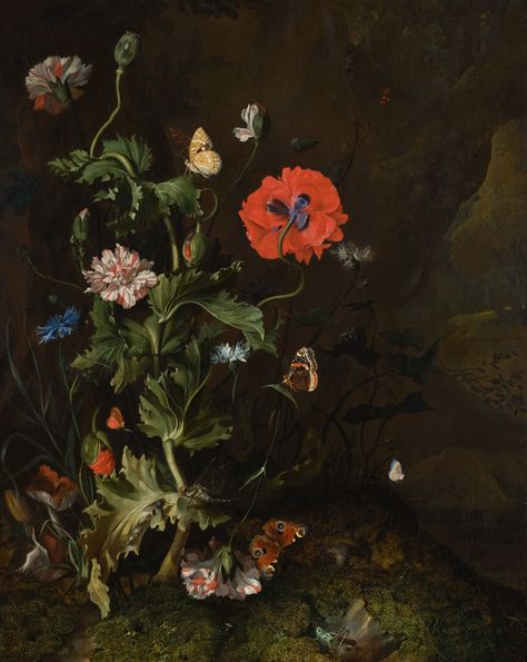 Rachel Ruysch, Still Life With Flowers, Dutch Still Life, Female Painters, Still Life Artists, Dutch Golden Age, Dutch Painters, Flowers And Butterflies, Forest Floor