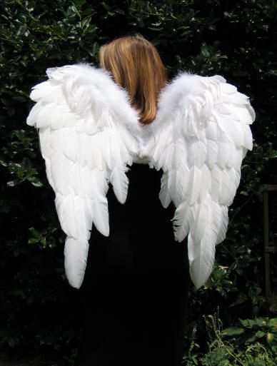 angel wings Angle Wings Aesthetic, Wings Picture, Angel Costume Diy, Angel Wings Pictures, Wings Aesthetic, Nativity Costumes, Entertaining Angels, Diy Angel Wings, Angel Wings Costume