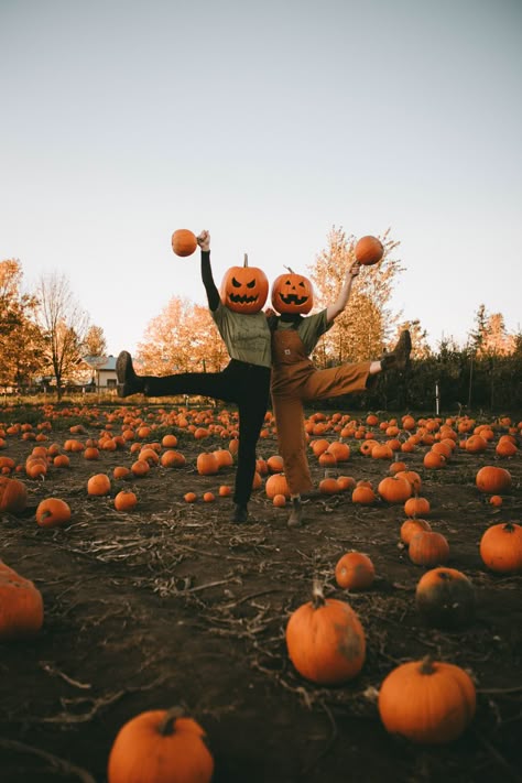 Pumpkin Head Photoshoot at the pumpkin patch Ghost Photoshoot Pumpkin Patch, Fall Photos Pumpkin Patch, Pumpkin Pics With Friends, Punkin Head Pictures, Fall Senior Pictures Pumpkin Patch, Pumpkin Mask Photoshoot, Family Pumpkin Patch Photoshoot, Pumpkin Head Photoshoot Friends Black, Pumpkin Head Trend Photoshoot