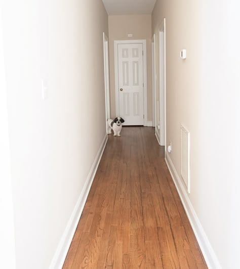 Take your long, narrow hallway from lackluster to stylish with these simple decorating ideas. Long Hall Decor Ideas, Narrow Hallway Picture Wall Ideas, Hallway Wall Ideas Narrow, Decorate Long Narrow Hallway, Ideas For Narrow Hallways, Hallway Pictures Ideas, Hallway Wayne’s Coating, Narrow Hallway Inspiration, How To Decorate Narrow Hallway