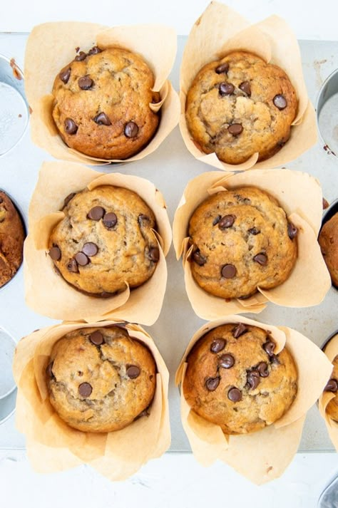 Chocolate Chip Banana Bread Muffins, Banana Choc Chip Muffins, Easy Banana Muffins, Gathering Recipes, Banana Bread Muffin Recipe, Chocolate Chip Banana Muffins, Choc Chip Muffins, Chocolate Chip Muffin Recipe, Chocolate Banana Muffins