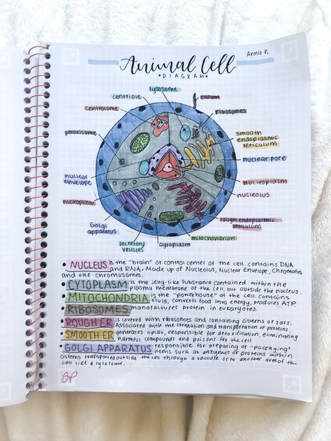 Credit to @anniestudiesss on instagram Cell Notes Biology Class 9 Aesthetic, Science Notes Cells, Animal Cell Notes, Fundamental Unit Of Life Notes Class 9, Bio Notes Aesthetic, Zoology Aesthetic Notes, Life Science Notes, Aesthetic Biology Notes, Biology Notes Aesthetic