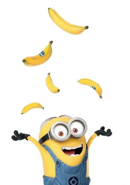 ♥ Minions And Banana, Banana Minion, Minion Rock, 3 Minions, Minions Images, Minion Mayhem, Happy Birthday Minions, Minion Banana, Yellow Guy