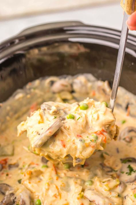 Slow Cooker Turkey a la King Turn your leftover Thanksgiving turkey into a comforting meal with this Slow Cooker Turkey a la King recipe. Just mix the turkey with peppers, mushrooms, and peas in a creamy sauce, then ladle it over biscuits for a family dinner that feels both special and satisfying. Instapot Leftover Turkey Recipes, Turkey A La King Recipes Easy, Turkey Breast Leftover Recipes, Crock Pot Ground Turkey Recipes, Turkey A La King Recipes, Ground Turkey Slow Cooker Recipes, Turkey Ala King Recipe, Firecracker Turkey, Turkey Ala King