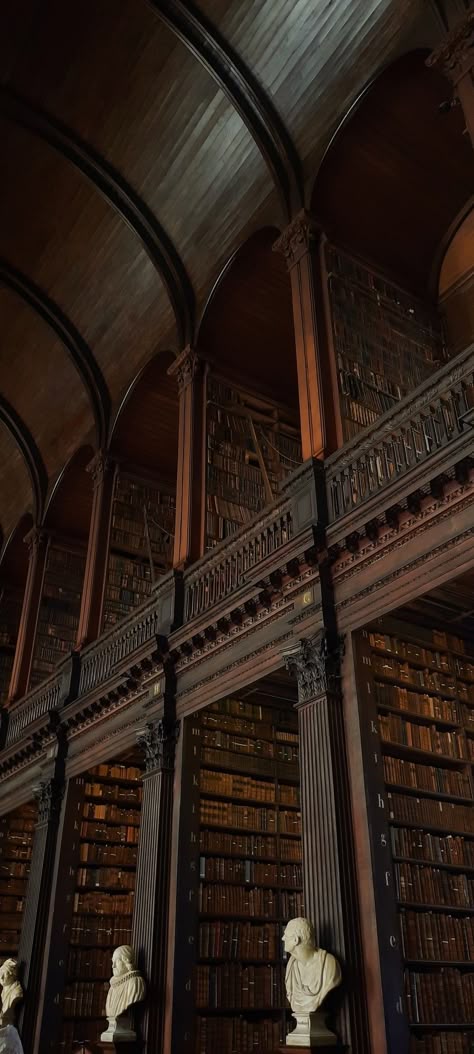 Old Huge Library Aesthetic, The Long Room Trinity College, Dimly Lit Library, Big Old Library, Library Old Aesthetic, Old Abandoned Library, Aesthetic Old Library, Massive Library Aesthetic, Old Libraries Aesthetic