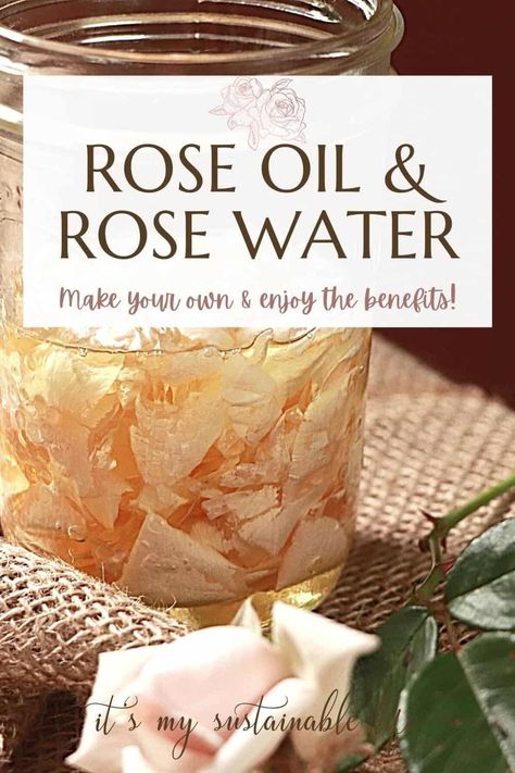 DIY rose oil and rose water is easier than you may think! Learn to make homemade rose oil and homemade rose water with these simple steps! #howto #tips How To Make Rose Oil At Home, Diy Rose Oil For Face, What Is Rose Water Good For, How To Make Rose Water, Rose Oil Diy, Hyaluronic Acid Serum Recipe, Essential Oils For Sore Throat, Making Rose Water, Make Rose Water