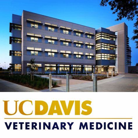 Veterinary Medicine Aesthetic, Uc Davis Aesthetic, Uc Davis Vet School, Uc Davis, Royal Veterinary College, Ucla School Of Medicine, Ross University Of Veterinary Medicine, Uc Davis Veterinary Medicine, University Of California Davis