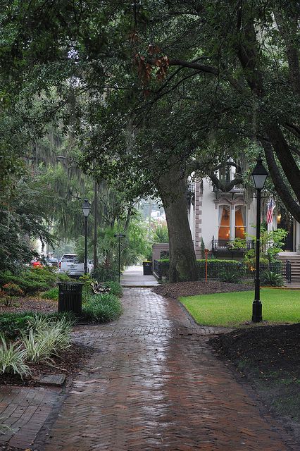 Southern Us Aesthetic, Brick Walkway, Palmetto Bluff, Tybee Island, Georgia On My Mind, Brick Road, Deep South, Interior Modern, Savannah Georgia