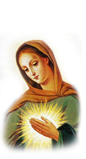 Flame Of Love, The Immaculate Heart Of Mary, Immaculate Heart Of Mary, Love Diary, Heart Of Mary, Immaculate Heart, Mama Mary, Blessed Mother Mary, Hail Mary