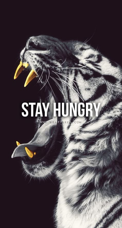 Listen to Gary Vaynerchuk in this video on how he transforms thinkers into becoming doers. Which one are you? Fitness Motivation Wallpaper, Mens Fitness Motivation, Gentlemens Guide, Fitness Wallpaper, Fitness Humor, Lion Quotes, Stay Hungry, Wallpaper Inspiration, Motivational Wallpaper