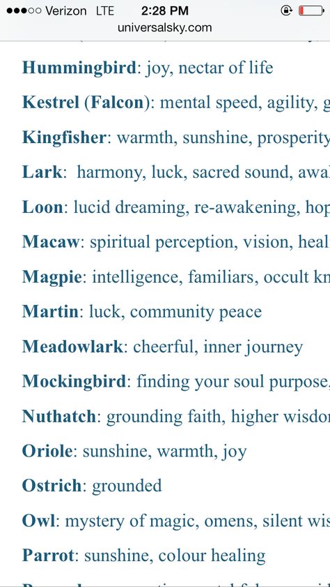 Different Birds And Their Meanings, Grackle Bird Spiritual Meaning, Birds With Meaning, Mockingbird Spiritual Meaning, Mockingbird Tattoo Meaning, Bird Meanings Symbols, Birds And Their Meanings, Mockingbird Meaning, Mockingbird Symbolism