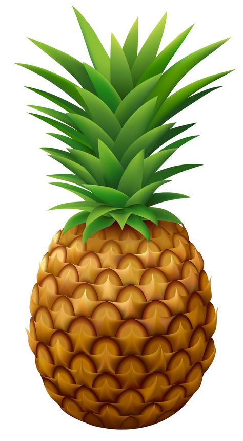 Tropical Png, Pineapple Pictures, Pineapple Clipart, Cartoon Pineapple, Vegetable Crafts, Pineapple Vector, Tropical Scenery, Pineapple Wallpaper, Diy Garden Fountains