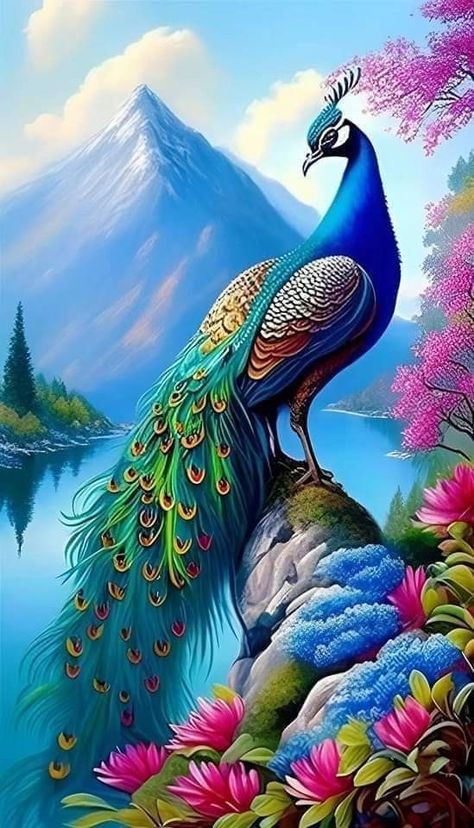 Peacock Images Beautiful, Picture Of A Peacock, Landscape Wall Painting, Live Fish Wallpaper, Peacock Images, Peacock Photos, Peacock Wallpaper, Peacock Pictures, Amazing Animal Pictures