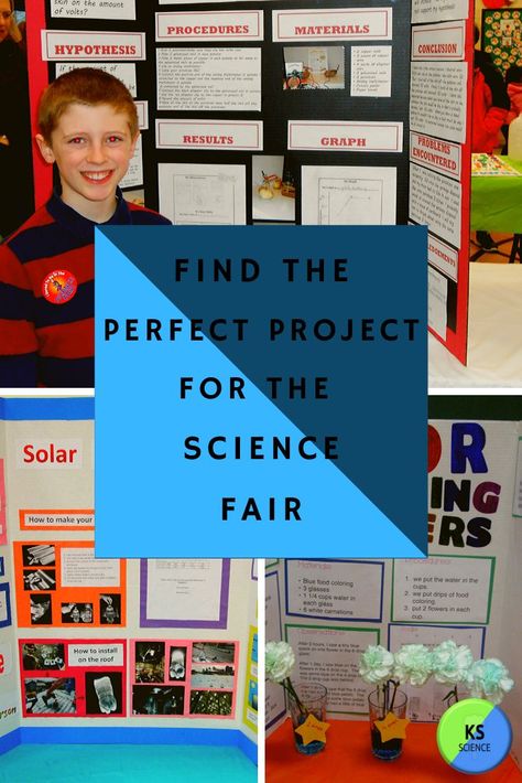 Find the perfect winning project with these simple and creative ideas.  They can easily be turned into a unique experiment.  Projects are great for middle school and elementary school.  They projects are geared for the first time science fair participant.  Parents will love the ease of use. Apple Science Fair Project, Science Fair Ideas 3rd Grade, Grade 6 Science Fair Projects, Middle School Science Fair Project Ideas, Easy Science Fair Projects For Kids, Fifth Grade Science Fair Projects Ideas, Unique Science Project Ideas, Science Fair Ideas 7th Grade, 8th Grade Science Fair Projects Ideas