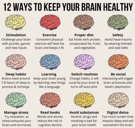 Brain Anatomy And Function, Brain Surgeon, Brain Facts, Brain Anatomy, Mental Health Facts, Healthy Brain, Changing Habits, Brain Food, Proper Diet