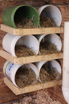 Reban Ayam, Cheap Chicken Coops, Cute Chicken Coops, Chicken Coop Garden, Easy Chicken Coop, Backyard Chicken Coop Plans, Diy Chicken Coop Plans, Backyard Chicken Farming, Coop Design