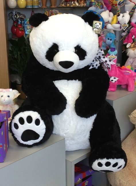 Huge Teddy Bears, Panda Teddy, Panda Teddy Bear, Giant Teddy, Panda Love, Cute Stuffed Animals, Stuffed Toys, Soft Toys, Panda Bear