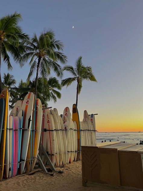 Summer View Aesthetic, Aesthetic Surfer Wallpaper, Hawaii Surfing Aesthetic, Aesthetic Summer Pictures Beach, Beach Aesthetic Hawaii, Hawaii Holiday Aesthetic, Summer Aesthetic Hawaii, Vision Board Hawaii, Surf Beach Aesthetic