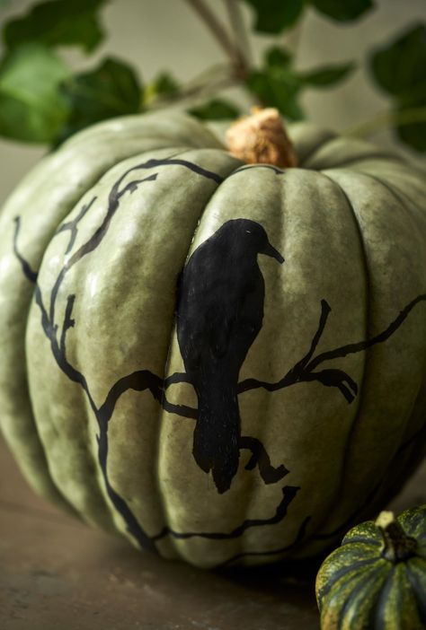 Black Pumpkins, Painted Pumpkin, Black Pumpkin, Painted Pumpkins, Fall Decorating, Pumpkins, Fall Decor, Halloween, Quick Saves