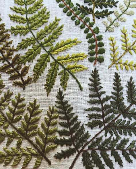 Embroidered ferns by tessa_perlow.  green, stiching, illustration, nature, leaves Shirt Embellishments, Botanical Embroidery Pattern, Embroidery Leaf, Ideas Embroidery, Simple Embroidery, 자수 디자인, Embroidery Cross Stitch, Needle Work, Hand Embroidery Patterns