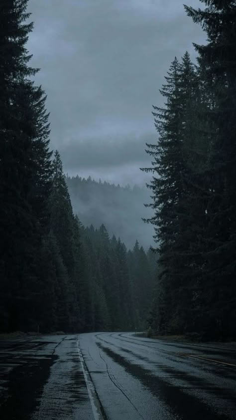 Wald Wallpaper, Dark Naturalism, Dark Things, Dark Forest Aesthetic, Dark Landscape, Dark Nature Aesthetic, Pretty Landscapes, Mountain Road, Landscape Wallpaper