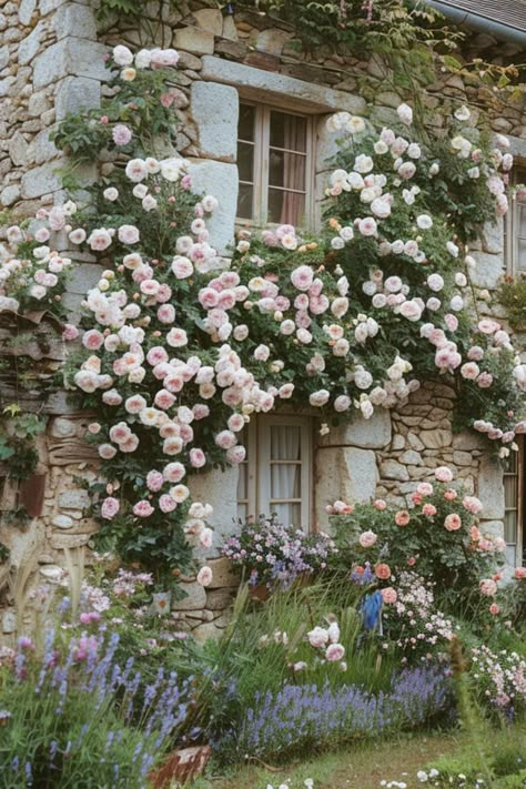 Want endless rose blooms? Find out how to fertilize climbing roses in spring for nonstop summer flowers. Save this pin now and get started on a blooming garden! Wall Climbing Plants, Blooms All Summer, Rose Garden Design, Summer Flowers Garden, Climbing Flowers, Lake Garden, Lavender Garden, Blooming Garden, English Cottage Garden