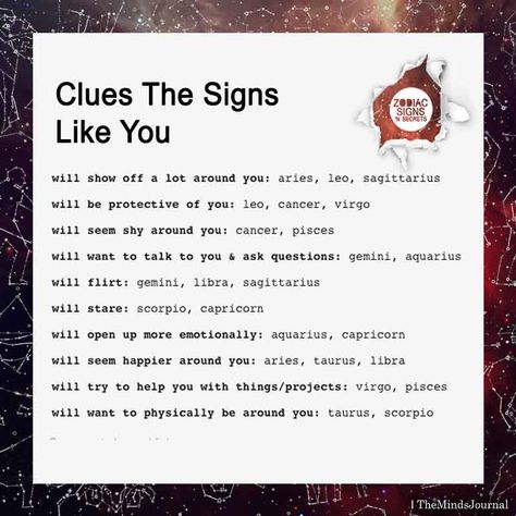 Zodiac Sign Fashion, Scorpio Zodiac Facts, Gemini Tattoo, Zodiac Signs Scorpio, Writing Projects, Signs Horoscope, Zodiac Signs Sagittarius, Zodiac Things, Zodiac Signs Leo