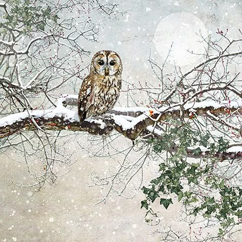 Tawny Owl, Christmas Landscape, Snow Owl, Bug Art, Owls Drawing, Watercolor Christmas Cards, Winter Painting, Winter Animals, 3d Christmas